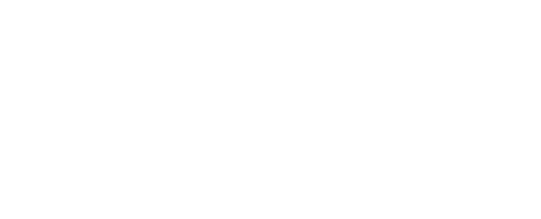 TaddeiAutoBianco